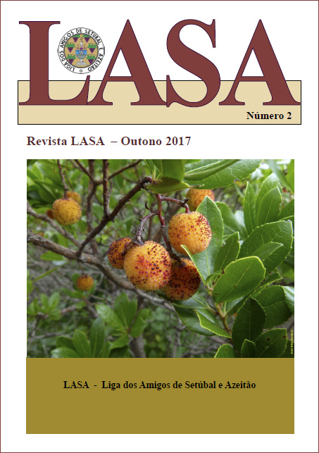 REVISTA LASA OUTONO 2017