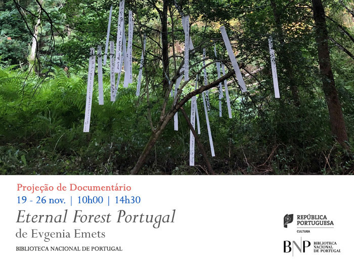 Projeção de Documentário | Eternal Forest Portugal | 19-26 nov. | 10h00 / 14h30 | BNP