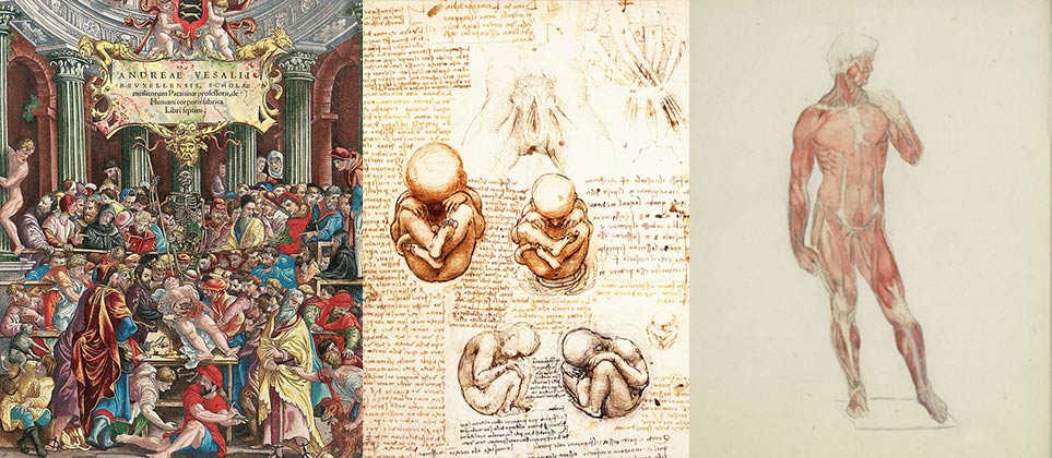 “John Locke”, “Baruch Spinosa”, “Pedro Nunes”, “De humani corpis fabrica”, “Estudos de anatomia”, “Estudo Anatómico”